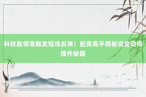 科技股领涨触发短线反弹！配资高手揭秘资金动向操作秘籍