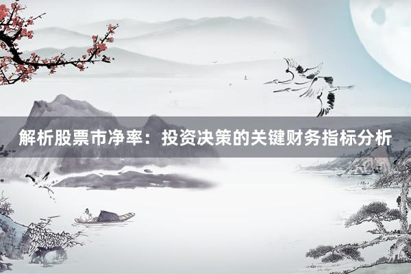 解析股票市净率：投资决策的关键财务指标分析