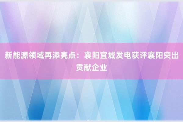 新能源领域再添亮点：襄阳宜城发电获评襄阳突出贡献企业