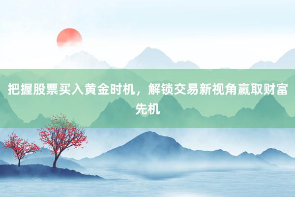 把握股票买入黄金时机，解锁交易新视角赢取财富先机