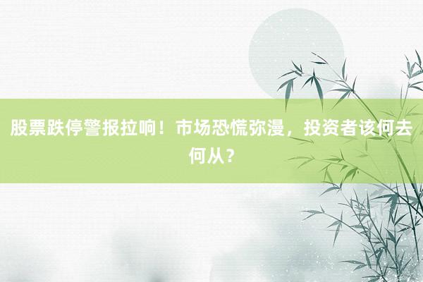 股票跌停警报拉响！市场恐慌弥漫，投资者该何去何从？