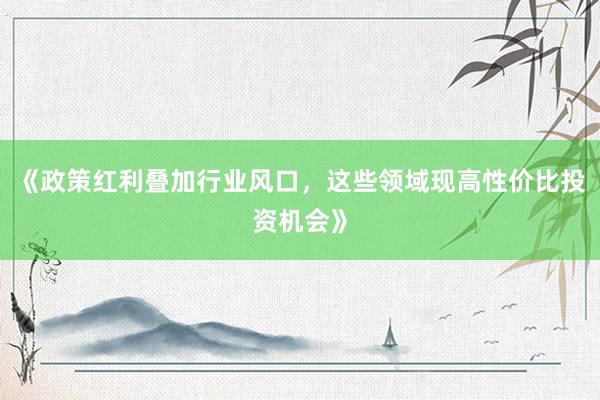 《政策红利叠加行业风口,这些领域现高性价比投资机会》