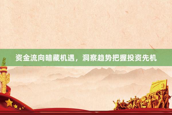 资金流向暗藏机遇，洞察趋势把握投资先机