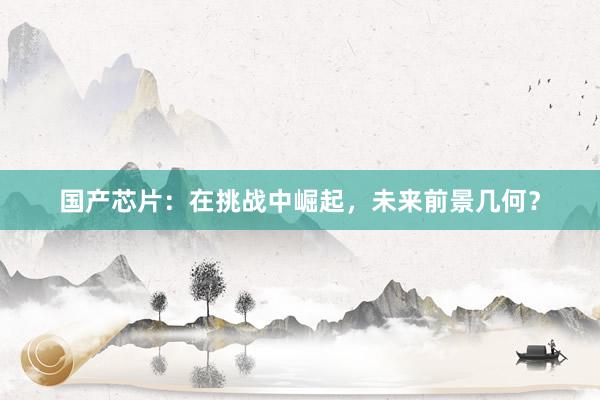 国产芯片：在挑战中崛起，未来前景几何？