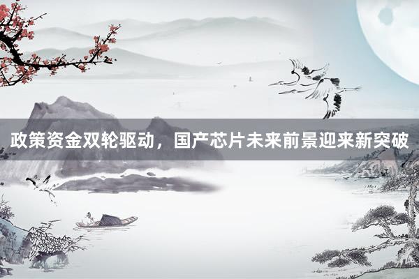 政策资金双轮驱动，国产芯片未来前景迎来新突破