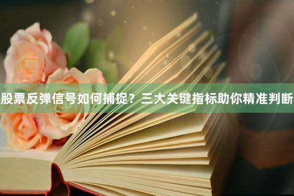 股票反弹信号如何捕捉？三大关键指标助你精准判断