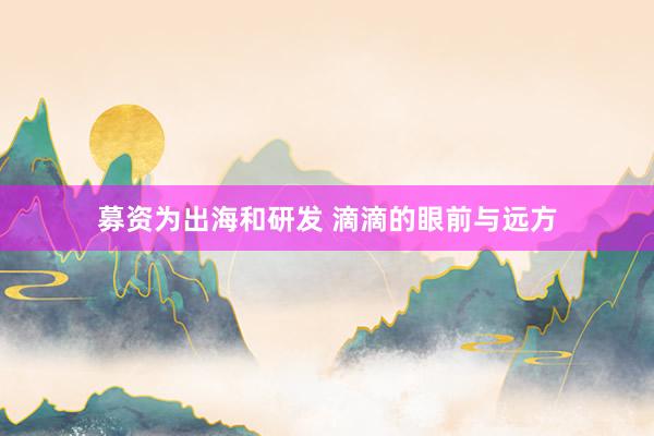 募资为出海和研发 滴滴的眼前与远方