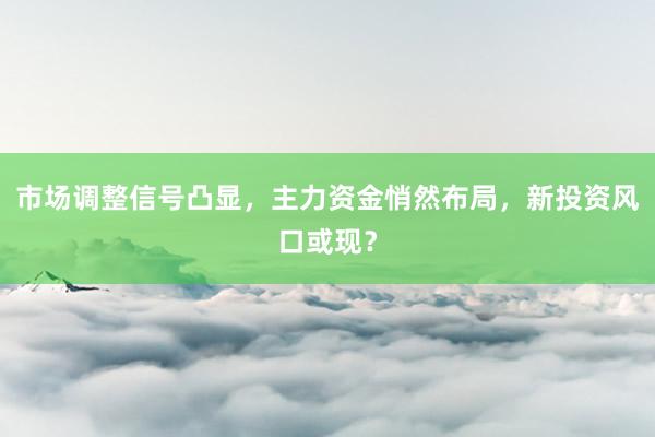 市场调整信号凸显，主力资金悄然布局，新投资风口或现？