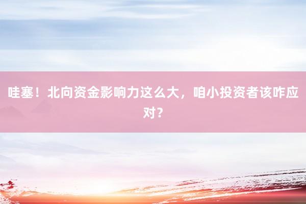 哇塞！北向资金影响力这么大，咱小投资者该咋应对？