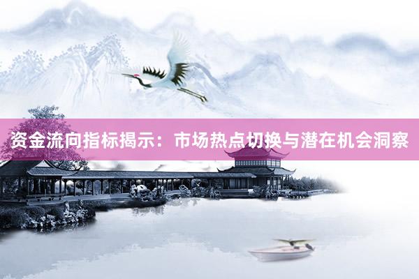 资金流向指标揭示：市场热点切换与潜在机会洞察