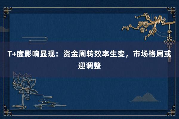 T+度影响显现：资金周转效率生变，市场格局或迎调整