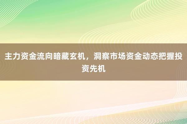 主力资金流向暗藏玄机，洞察市场资金动态把握投资先机