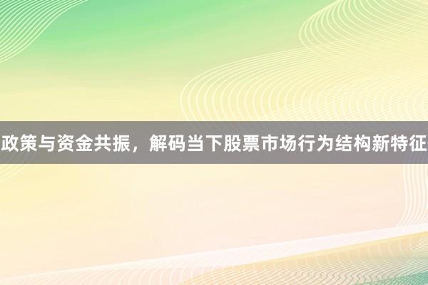 政策与资金共振，解码当下股票市场行为结构新特征