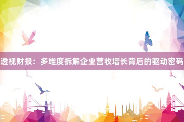 透视财报：多维度拆解企业营收增长背后的驱动密码