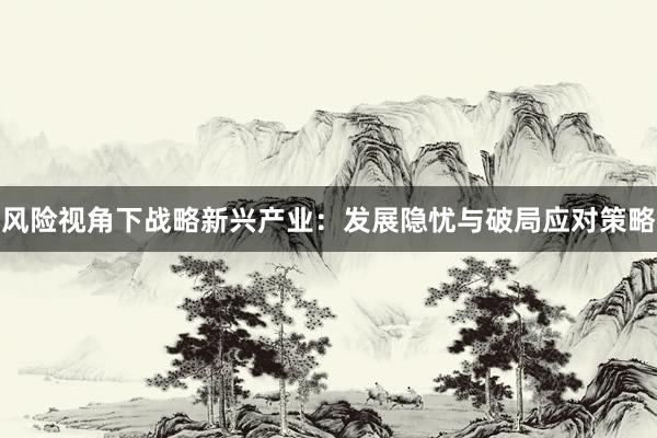风险视角下战略新兴产业：发展隐忧与破局应对策略