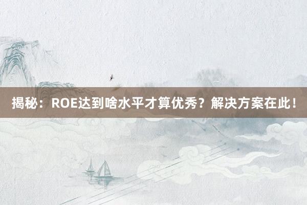 揭秘：ROE达到啥水平才算优秀？解决方案在此！